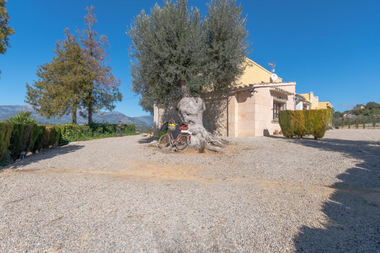Yupihome Rebasso Inca (Mallorca)